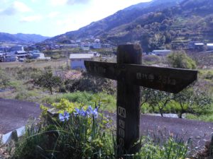 Wooden sign post with Japanese writing amidst flowers