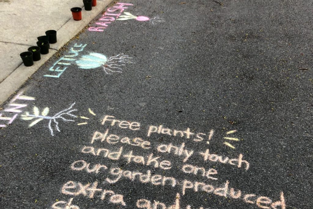 Writing on ground: Free plants!