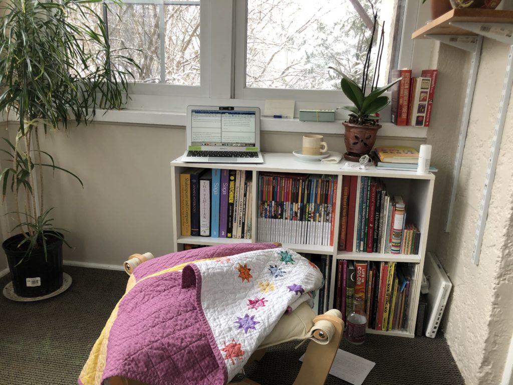 Book shelf topped with computer and plant