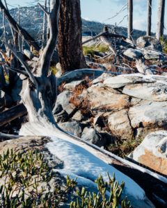 snow, dead wood, and rock make a trail treacherous