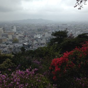 City in the distance, framed by flowering trees