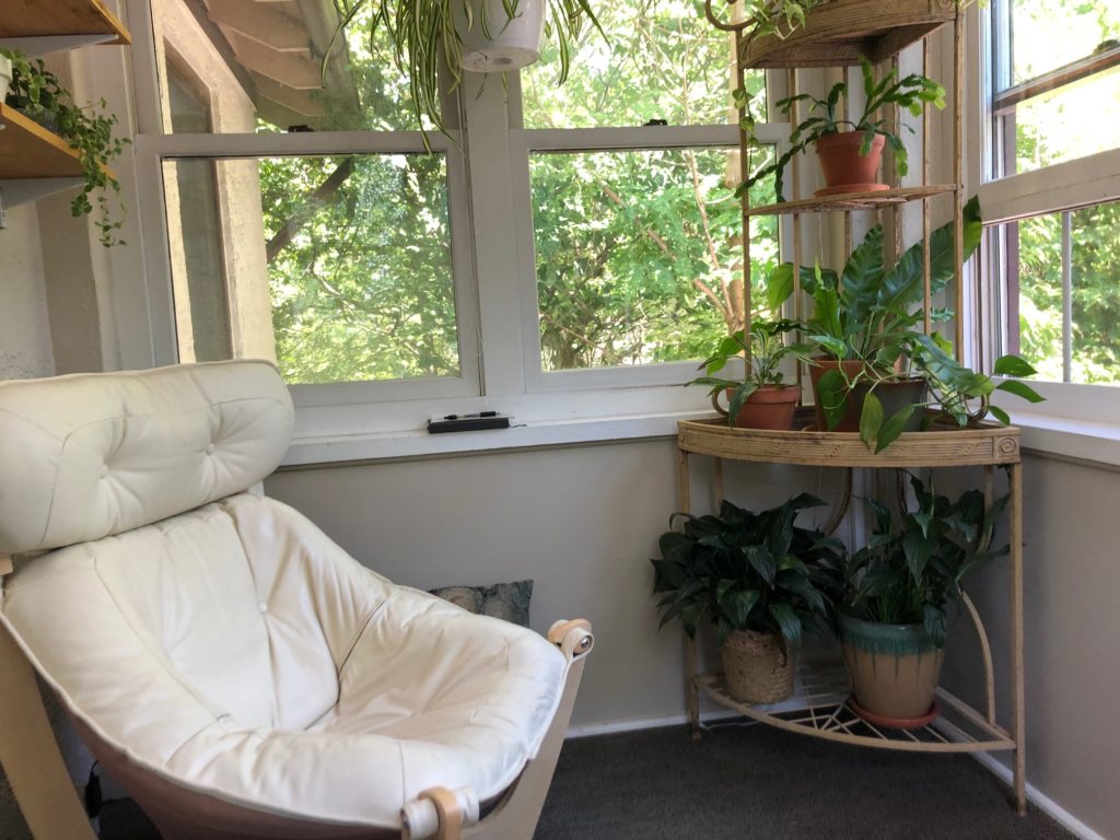 Sunny room; shelf of plants on the right
