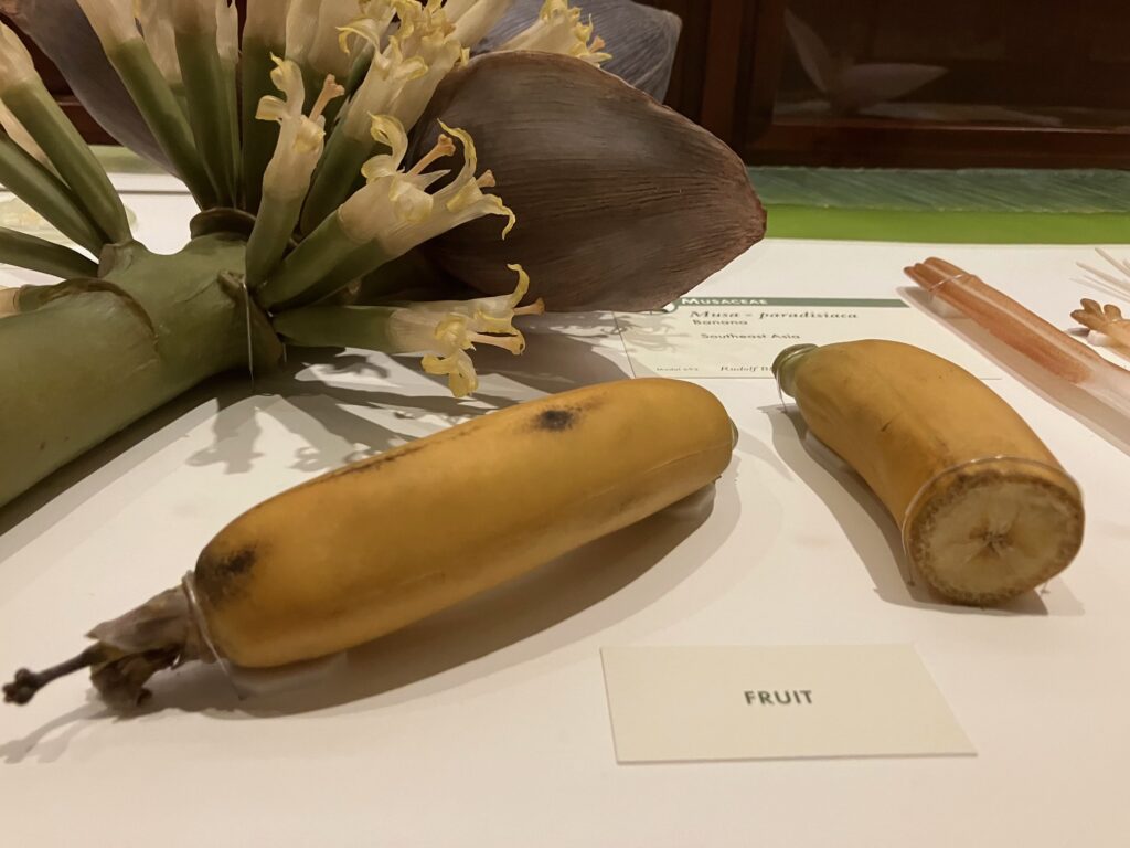 Huge flower and two bananas. Both very realistic, they are made out of glass
